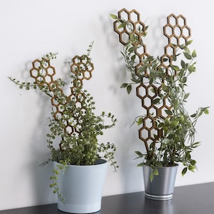 May include: Two potted plants with green foliage and brown honeycomb-shaped trellis structures. One plant is in a light blue pot, the other in a silver metal pot. The background is a white wall.