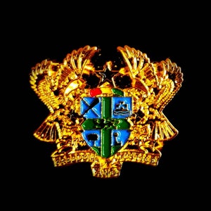 Coat of Arms Lapel Pin: 2D Gold Plated Brooch