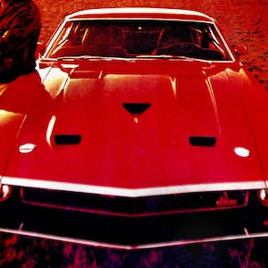 1969 Ford Mustang Shelby Cobra GT500/GT350 *Vintage/Original Magazine Advertisement*GT-500/emblem/decal/poster/print/Man Caver/shop art/1970