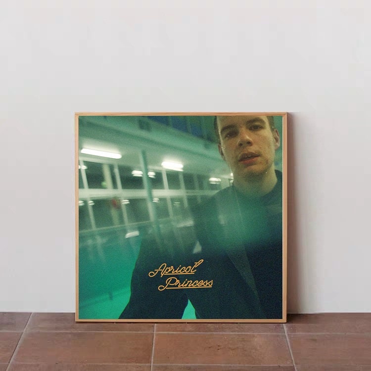 rex orange county apricot princess merch