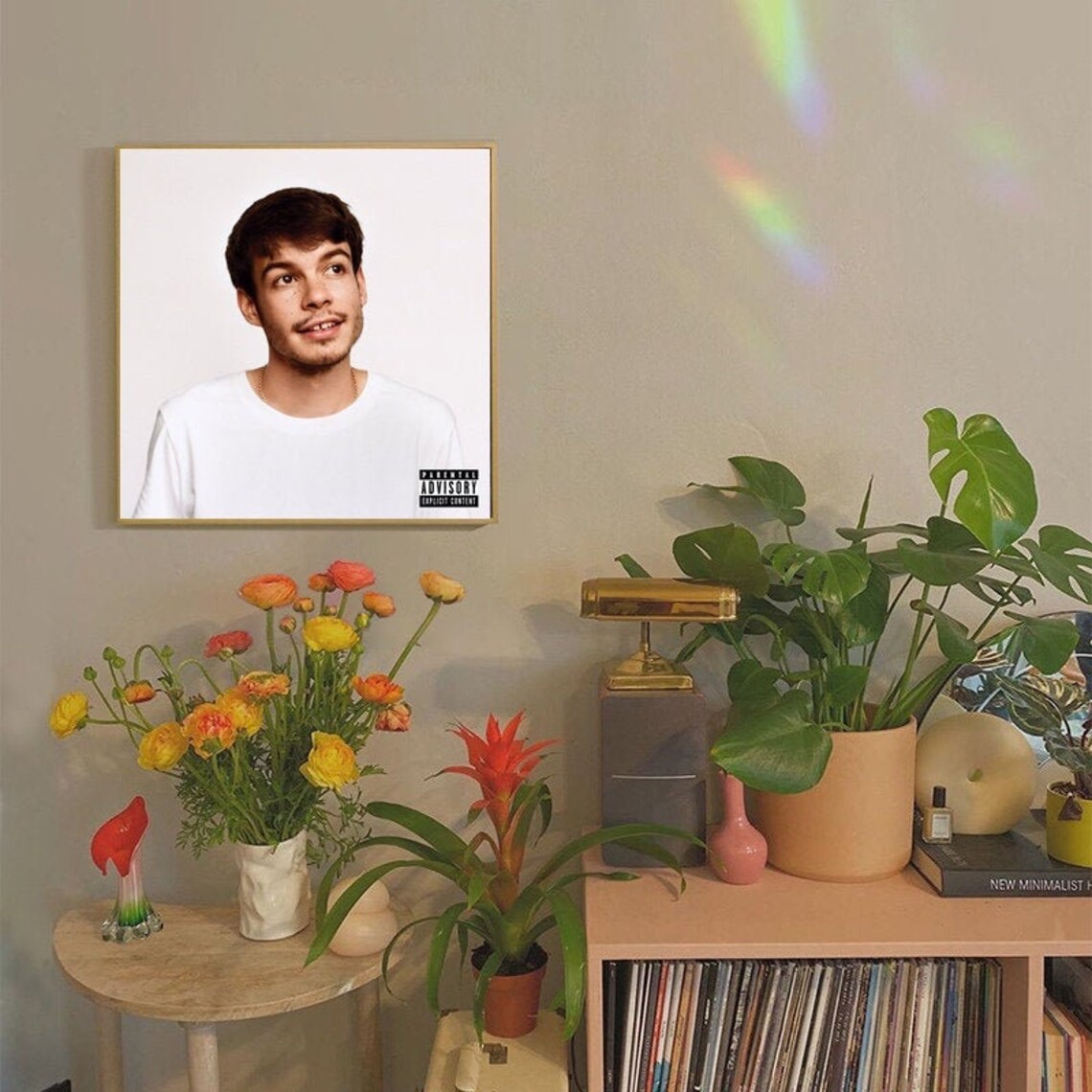 Rex Orange County Pony Music Album Canvas Poster Unframe Etsy