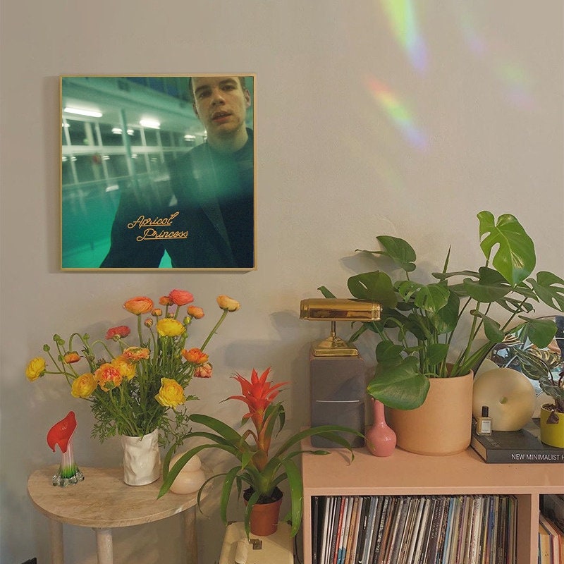 rex orange county apricot princess merch