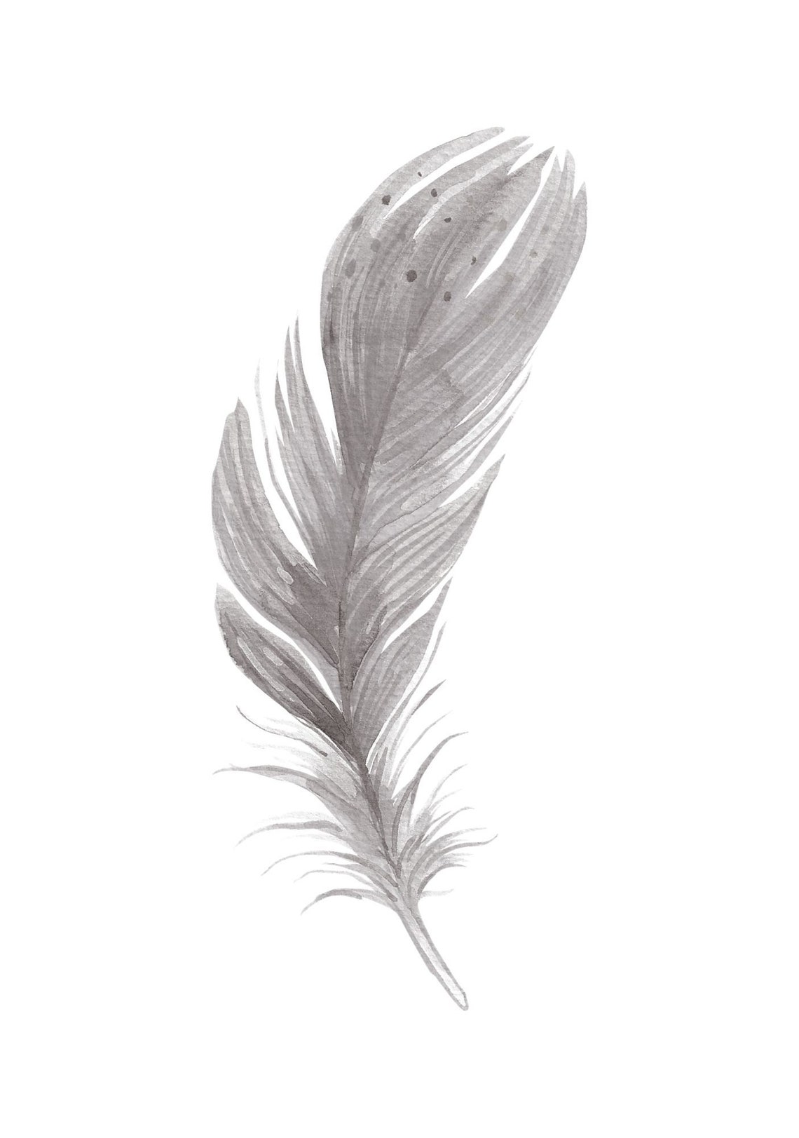 Grey Feather Print Trio feathers Grey room Bedroom Etsy