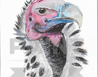 Watercolour Lappet-faced Vulture