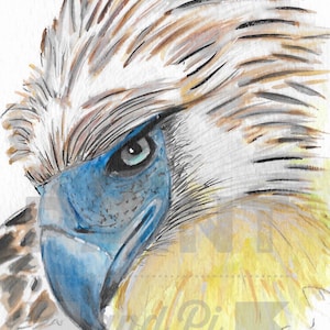 Watercolour Philippine Eagle