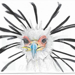 Watercolour Secretary Bird