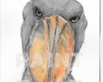 Watercolour of a Shoebill Stork (2)