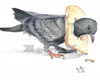 Watercolour Pigeon in bread