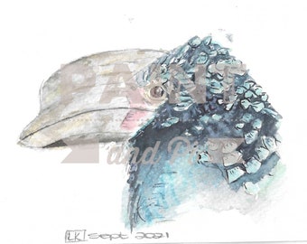 Watercolour Silvery-Cheeked Hornbill