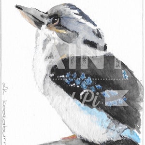 Watercolour Kookaburra..... but do you see the goat?