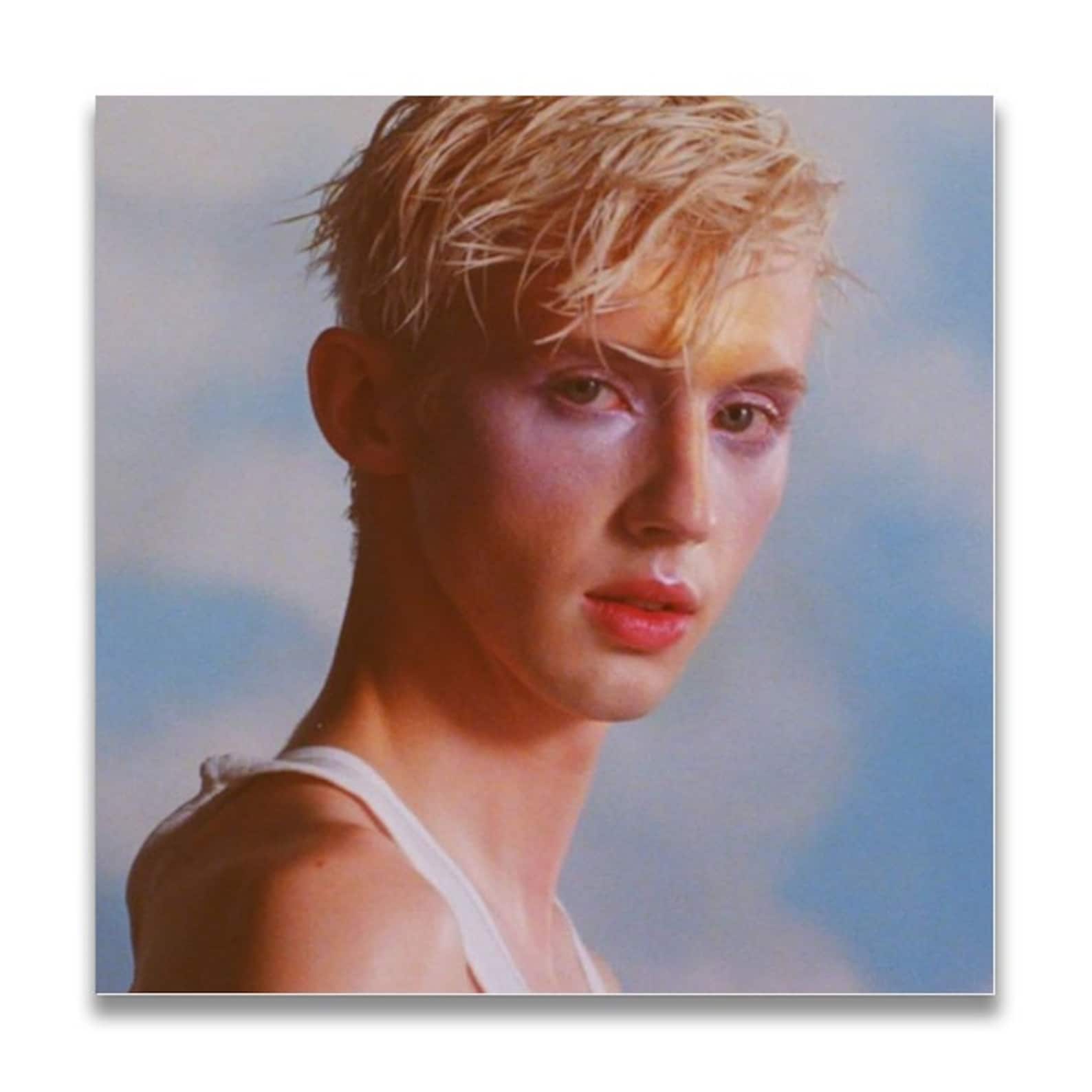 Troye Sivan Music Album cover Canvas Poster Unframe Etsy