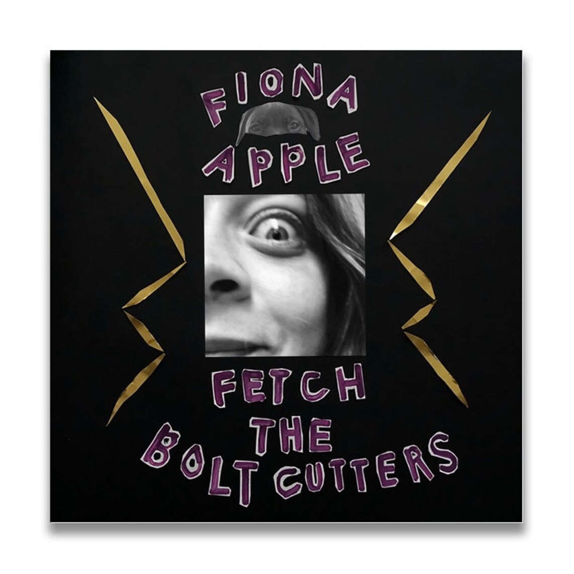 fiona apple fetch the bolt cutters shirt