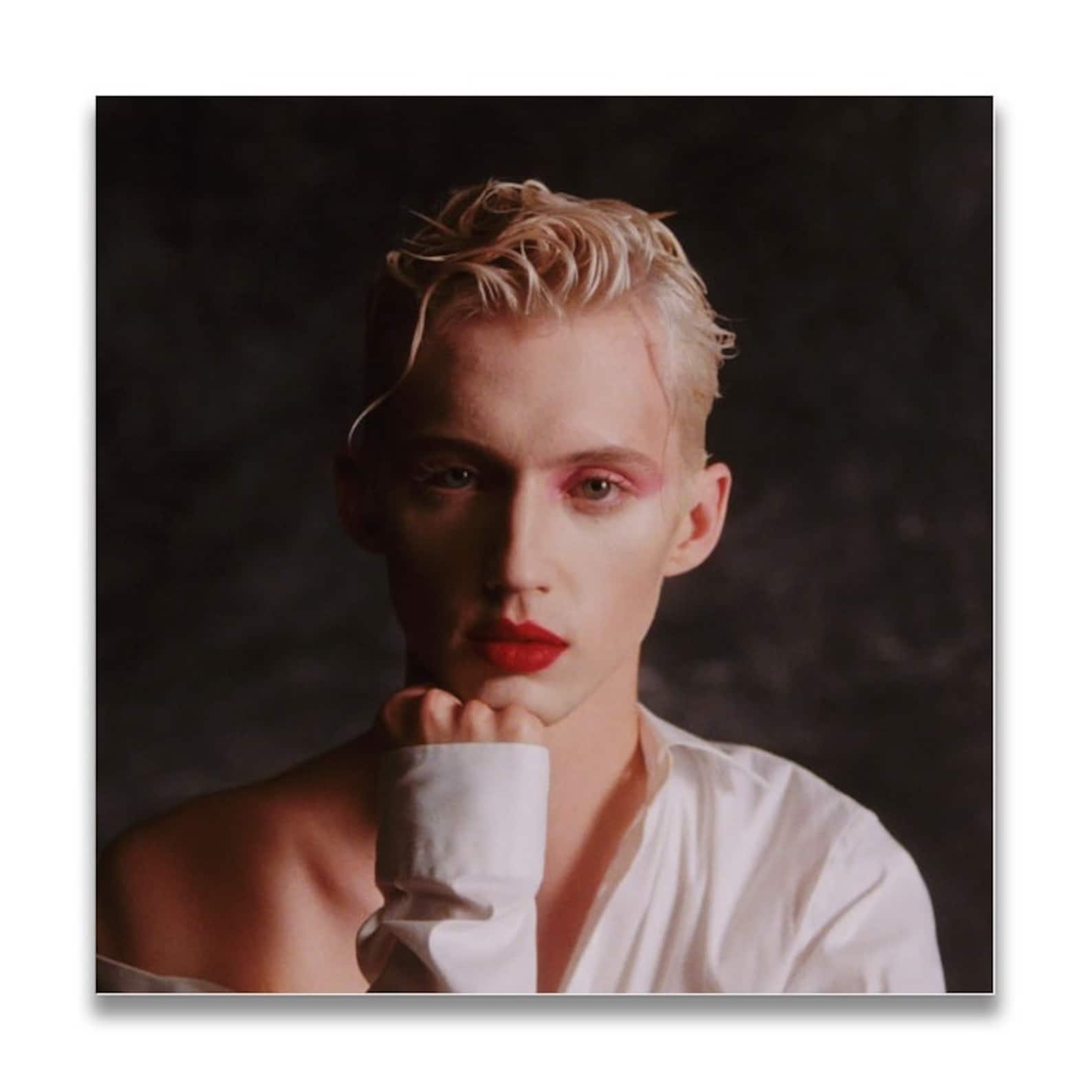 Troye Sivan Music Album cover Canvas Poster Unframe Etsy