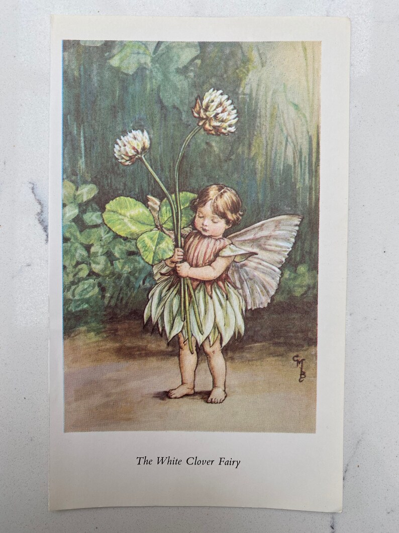 Vintage White Clover Flower Fairy print by Cicely Mary Barker image 1
