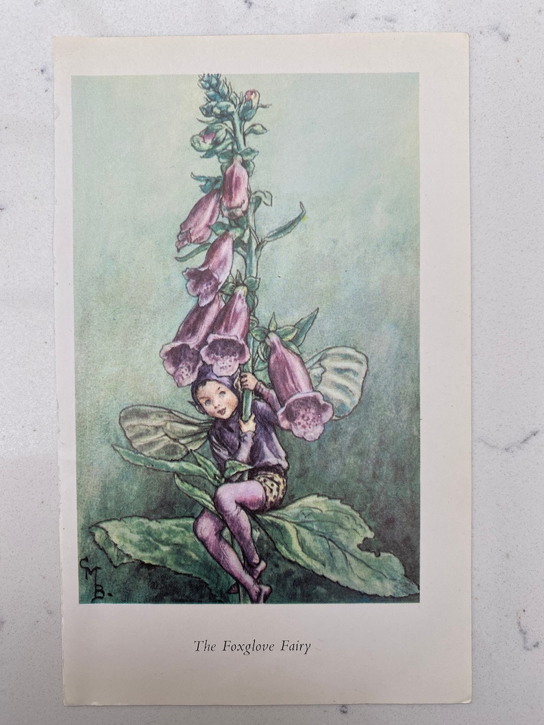 Vintage Foxglove Flower Fairy print by Cicely Mary Barker image 1
