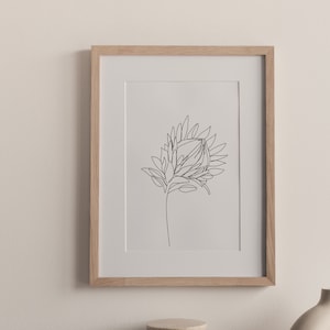 Line Art Protea. Florale minimalistische Wandkunst. Kunstdrucke.  Botanische Poster, Druckbare Illustration, Blumen Wanddeko,
