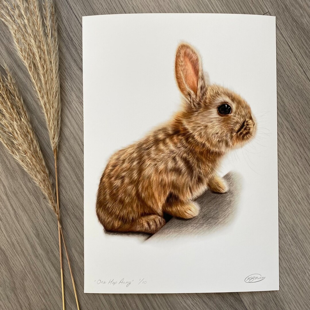 Limited Edition Print of Rabbit, 'one Hop Away' - Etsy