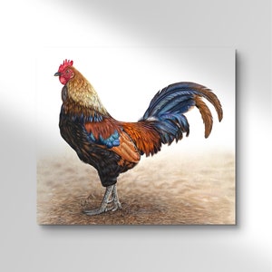 Rooster Print, ‘Shake Your Tail Feather’ Fine Art Print, Wildlife Art, Cockerel