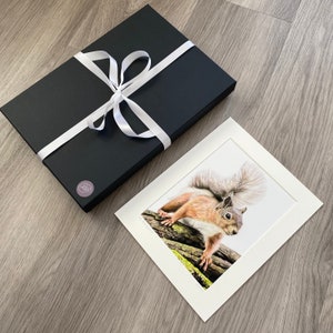 Red Squirrel Limited Edition Print