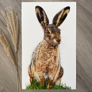 Limited Edition Print of a Hare, titled ‘On Lookout’