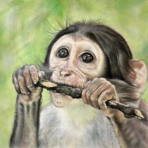12x12” Original ‘Monkey’ Drawing