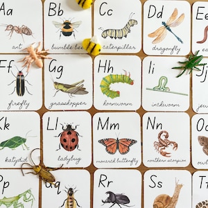 El alfabeto de los insectos, tarjetas imprimibles para niños, arácnidos, moluscos e insectos, tarjetas didácticas imprimibles