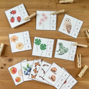 Tarjetas de conteo y recortes sobre la naturaleza para niños pequeños, recurso de educación en el hogar para niños en edad preescolar, tarjetas de conteo para niños, temática de la naturaleza