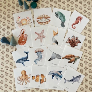 Tarjetas didácticas de animales del océano para imprimir, descarga digital educativa para niños, descarga instantánea, recurso para educación en el hogar y preescolar