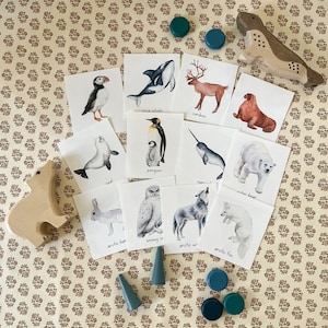 Schede didattiche stampabili sugli animali artici, download digitale educativo per bambini, risorse per la scuola materna per l'istruzione domestica stampabili con download immediato