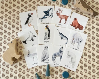 May include: A set of 12 illustrated flashcards featuring various Arctic animals, including a seal, penguin, narwhal, polar bear, arctic hare, snowy owl, arctic wolf, arctic fox, orca whale, caribou, walrus, and puffin. The cards are printed on white cardstock and have a watercolor-like style.