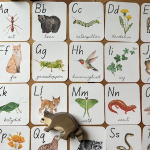 Das Waldalphabet, Natur druckbare Karten für Kinder, Waldalphabetkarten, druckbare Lernlern-Karteikarten