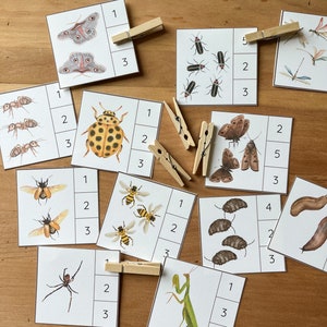 Bug Count and Clip Cards for Toddlers, Preschool Homeschool Resource, Counting Cards for kids, Nature Themed