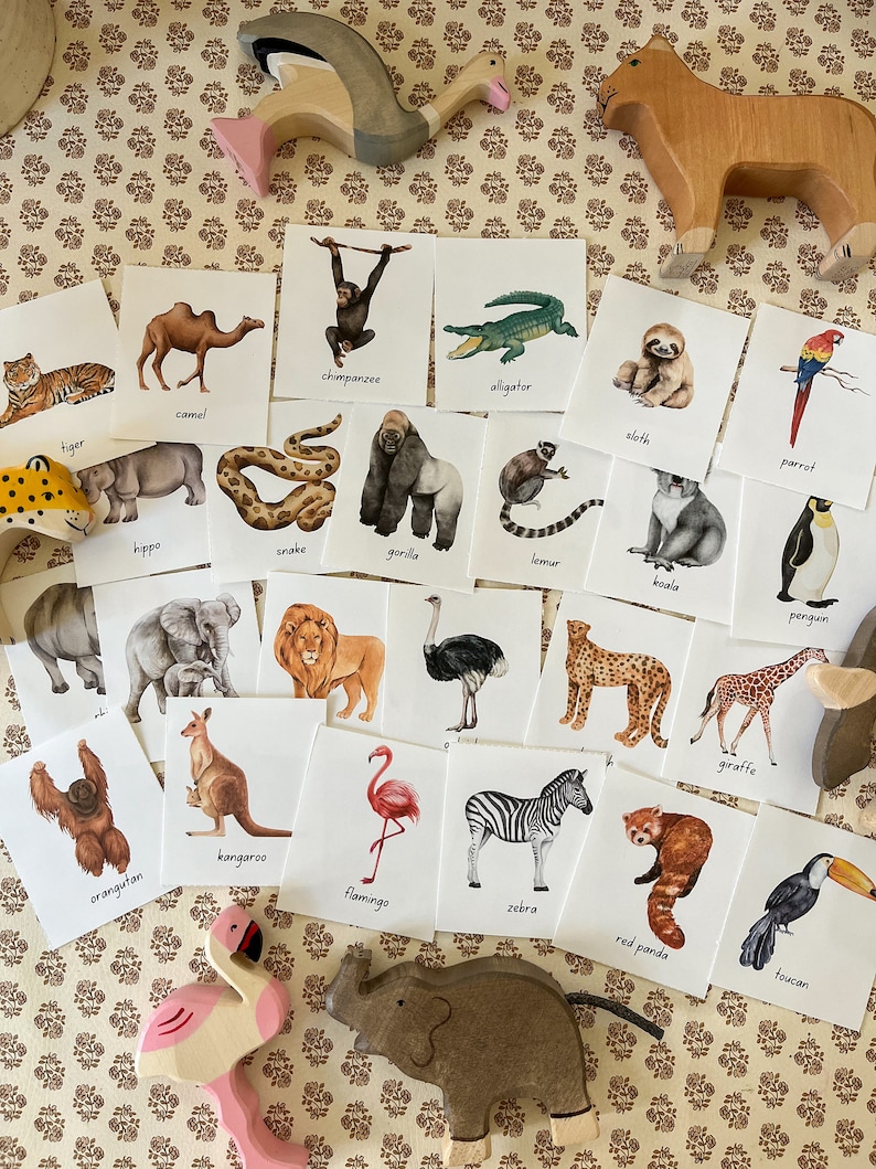 Zoo Animal Flash Cards Printable, Educational Digital Download for Kids ...
