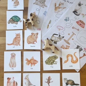 Actividad preescolar con temática de mascotas, tarjetas didácticas y actividades para imprimir, descarga digital educativa para niños, descarga instantánea