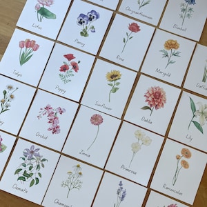 Tarjetas didácticas con motivos florales para imprimir, descarga digital educativa para niños, recurso para la educación en el hogar para imprimir al instante