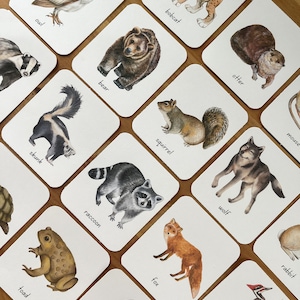 Cartes Flash animaux des bois imprimables, éducatives à télécharger pour les enfants, imprimables pour l'école maternelle à la maison, téléchargement immédiat