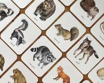 May include: A set of 14 illustrated flashcards featuring various animals, including a deer, owl, bobcat, bear, skunk, squirrel, wolf, raccoon, fox, toad, otter, mouse, rabbit, and woodpecker. Each card has the animal's name printed below the illustration.