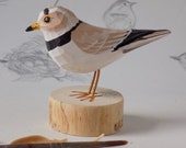 Piping Plover Woodcarving