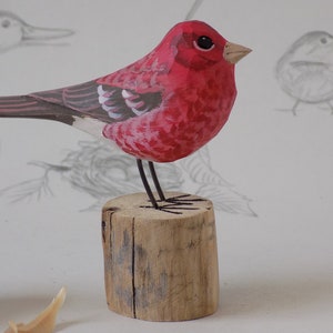 May include: A hand-carved wooden bird sculpture. The bird is primarily red with touches of white and black on the wings and tail. It stands on a small, natural wood base with wire legs. The background includes pencil sketches of birds.