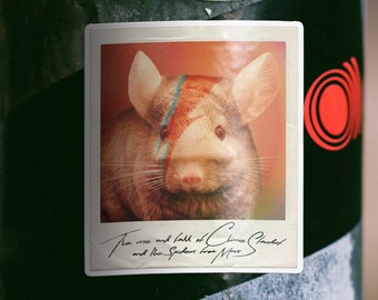 Chinnie Stardust Chinchilla Parody Sticker