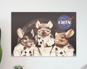 Chinchilla 11 Crew | Matte Poster for Chinchilla Lovers!