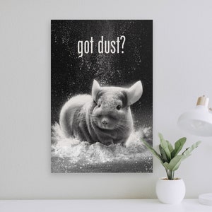 Got Chinchilla Dust? Poster Art Print