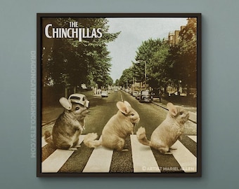 The Chinchillas Parody | Square Framed Premium Gallery Wrap Canvas For Chinchilla Lovers