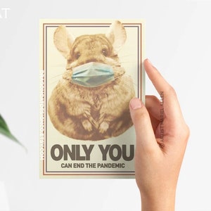 Carte postale standard Masque facial en cas de pandémie de chinchilla