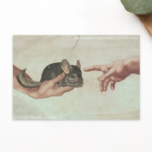Cartão Postal Creazione di Cincillà com Standard Grey Chinchilla Standard