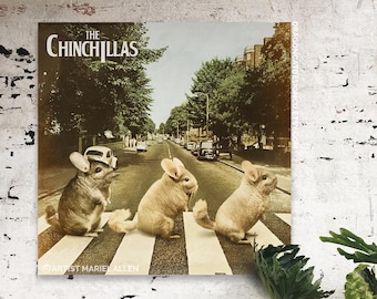 The Chinchillas Parody | Square Matte Poster Art Print