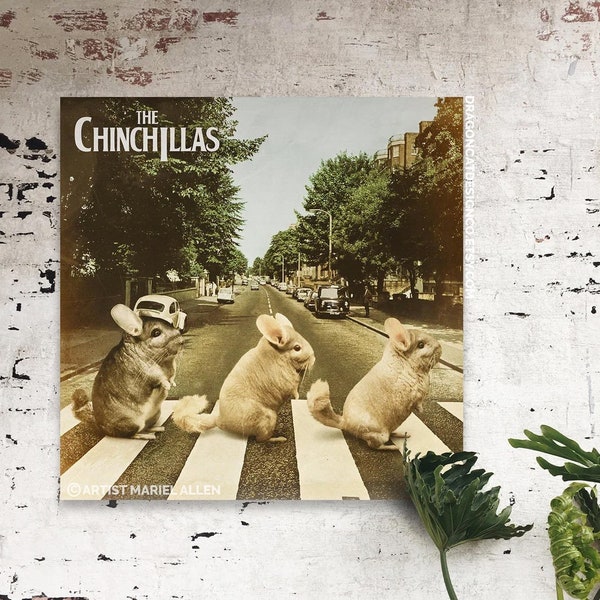 The Chinchillas Parody | Square Matte Poster Art Print