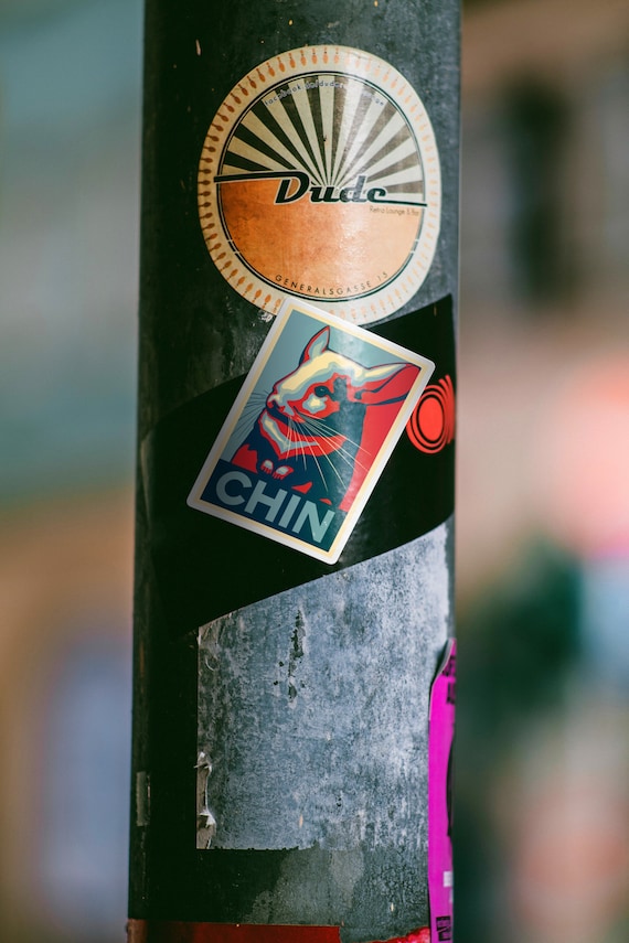 Vote Chinchilla for US Election Sticker