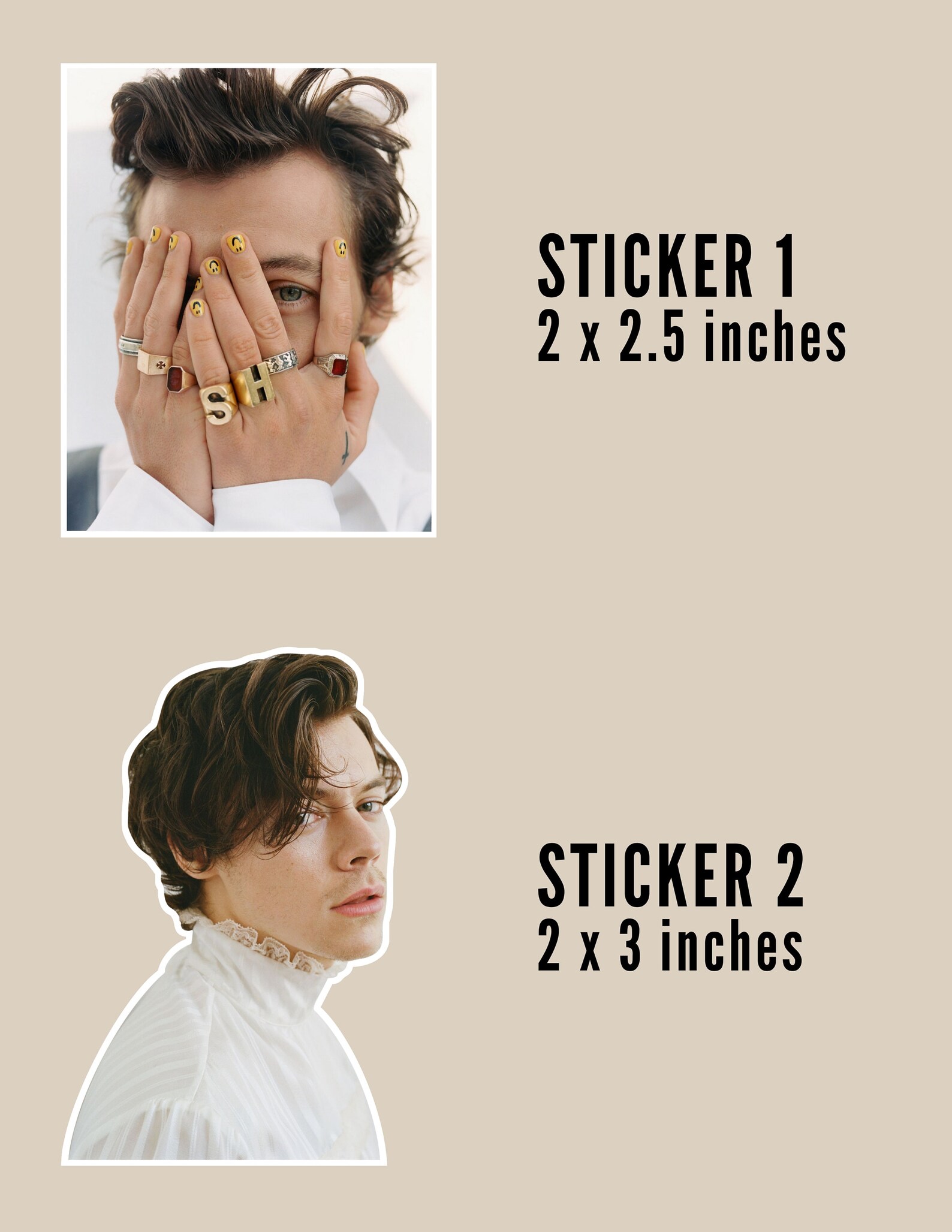 Harry Styles Stickers Etsy