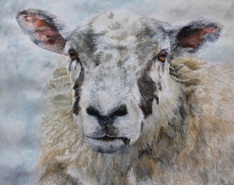 Peak District Ewe: Weathered Grace